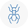 Ant Removals In Montrose