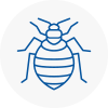 Bed Bug Extermination In Montrose