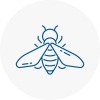 Bee Nest Removal Montrose