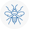 Montrose Hornet Nest Removals