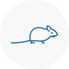 Mice Exterminators In Montrose