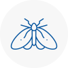 Moth Control Specialists In Montrose