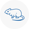 Rat Control Montrose