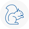 Montrose Rodent Removals