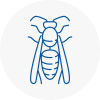 Montrose Wasp Nest Removal